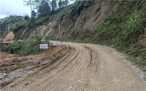 Quảng Ngãi: Tổ chức thu dọn gỗ, bảo đảm an toàn trên tuyến tỉnh lộ 676