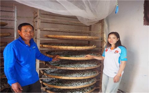 Nữ đảng viên K'ho gieo chữ, chuyển đổi số ở buôn làng Tây Nguyên