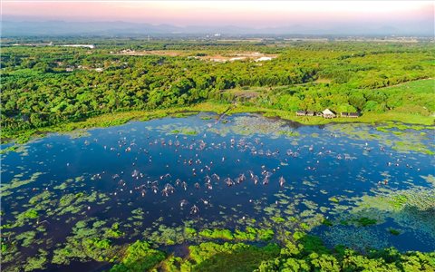 Người về vui hội với trằm