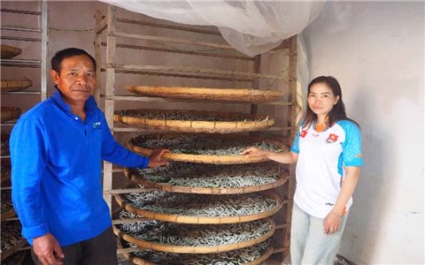 Nữ đảng viên K'ho gieo chữ, chuyển đổi số ở buôn làng Tây Nguyên
