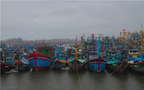 Quảng Ngãi tập trung ứng phó bão số 12, sẵn sàng cho học sinh nghỉ học