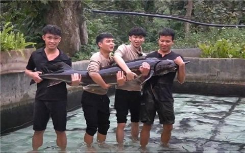 Tuần lễ Nông sản Việt 2025: Thúc đẩy tiêu dùng nội địa trong kỷ nguyên số