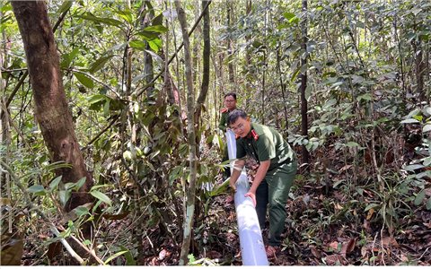 Lan tỏa sức trẻ hành động vì cộng đồng của ở Đắk Lắk