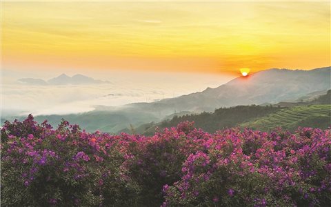 Sắc tím ở Vân Hồ