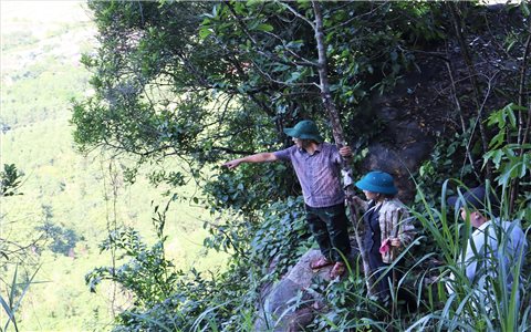 Quảng Ngãi: Khối đá hàng chục tấn có nguy cơ đổ sập xuống khu dân cư