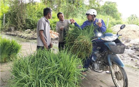 Ấn tượng chợ bán một mặt hàng nuôi sống hàng trăm gia đình người Khmer