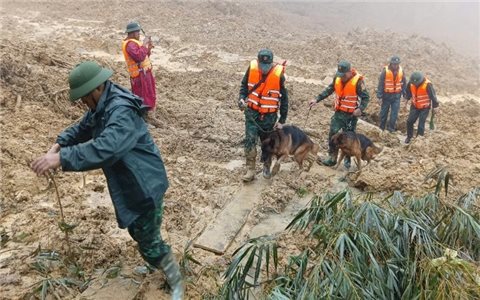 Tập trung ứng phó mưa lũ, đặt nhiệm vụ bảo đảm an toàn tính mạng cho Nhân dân lên trên hết, trước hết