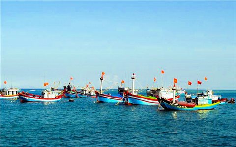 Sửa đổi một số quy định về xử phạt vi phạm hành chính trong lĩnh vực thủy sản