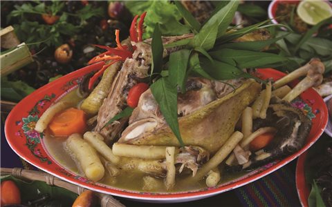 Sâm dây - Hương vị đại ngàn Trường Sơn