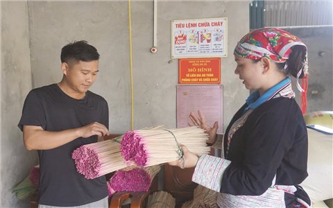 Nữ Bí thư Chi bộ người Dao mang sức trẻ xây dựng quê hương