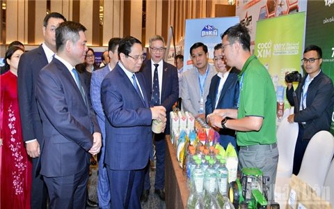 Nâng cao hiệu quả hoạt động và năng lực cạnh tranh cho ngành Logistics Việt Nam