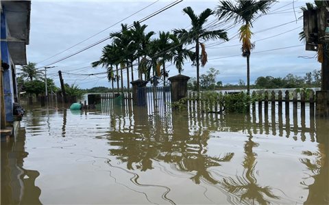 Đà Nẵng chi 210 tỷ đồng khắc phục hậu quả thiên tai