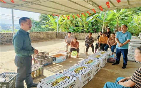 Cao Bằng: Cần liệu pháp mạnh để giảm nghèo ở nhóm các dân tộc còn nhiều khó khăn