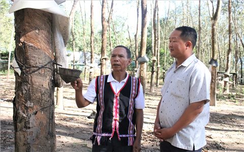 Biểu tượng cho sự đoàn kết, ý chí vươn lên ở Ngọk Tụ