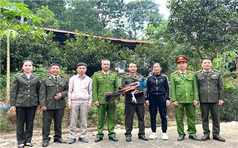 Thanh Hóa: Phát hiện 3 động vật quý hiếm, bàn giao cơ quan chức năng