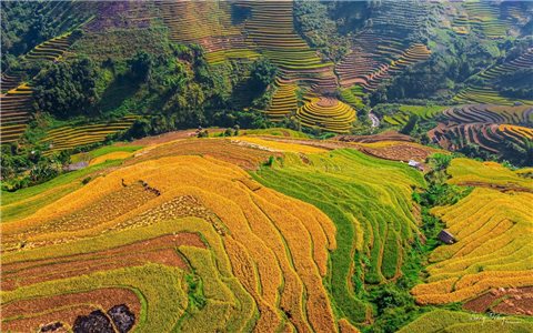 Khẩn trương hoàn thiện hồ sơ Báo cáo đề xuất chủ trương đầu tư Chương trình MTQG