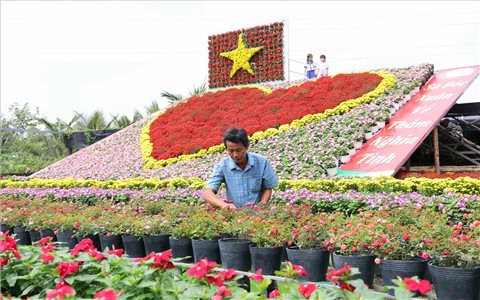 “Trái tim làng hoa Sa Đéc” rực rỡ trước thềm hội lớn