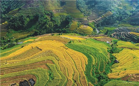 Tập trung ưu tiên đầu tư phát triển vùng đồng bào DTTS và miền núi