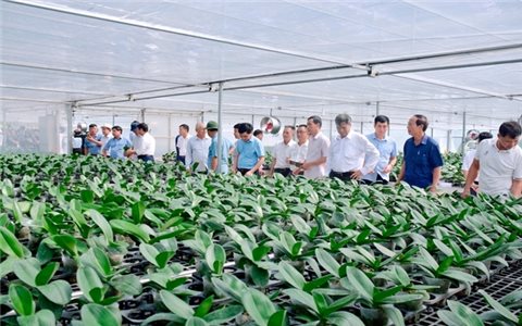 Thanh Hóa triển khai 24 mô hình khuyến nông năm 2026: Hướng tới nông nghiệp hiện đại và bền vững