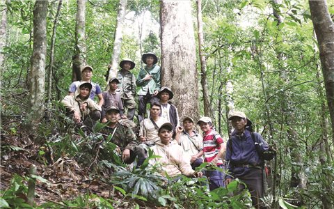 Gắn trách nhiệm, nâng sinh kế từ dịch vụ môi trường rừng