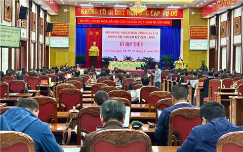 Tỷ lệ giải ngân vốn 3 Chương trình mục tiêu quốc gia ở Gia Lai mới đạt 39,2%