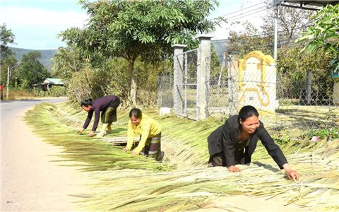 Mùa đót trên dãy Trường Sơn...