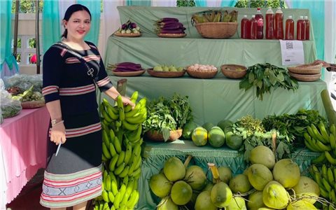 Bình Định: Triển khai thực hiện Đề án “Hỗ trợ hợp tác xã do phụ nữ tham gia quản lý, tạo việc làm cho lao động nữ”
