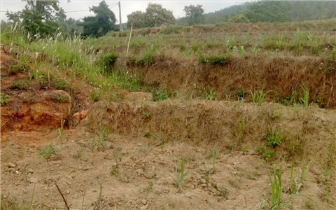 Nông dân vùng cao Bình Liêu “đứng ngồi không yên” vì thiếu nước sản xuất
