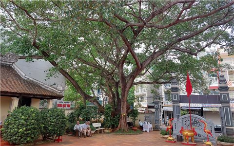 Ngôi đình mang tên "lời giao ước" trên đất Tây Nguyên