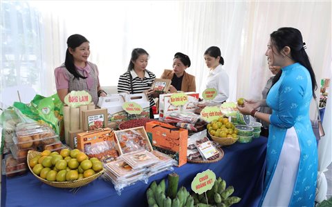 Đề án hỗ trợ phụ nữ khởi nghiệp ở Lạng Sơn: Thêm nguồn lực giúp hội viên làm giàu
