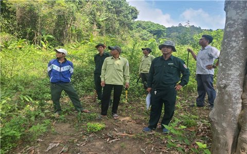 Khoán bảo vệ rừng ở Bình Thuận: Vừa giữ rừng, vừa tăng sinh kế cho đồng bào DTTS