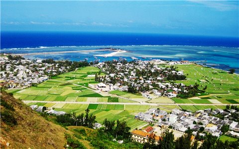 Đặc khu Lý Sơn và câu chuyện trồng rừng