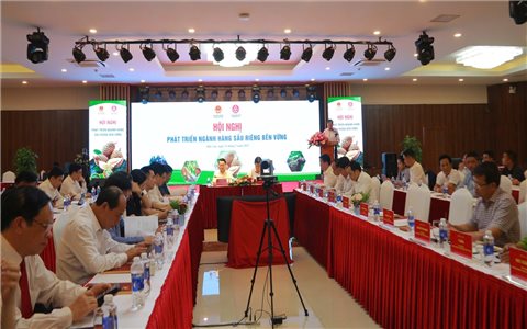 Bàn giải pháp phát triển sầu riêng bền vững