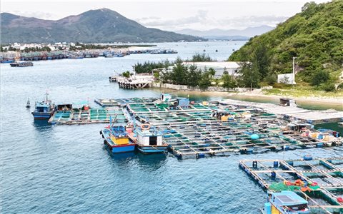 Bình Định: Lập quy hoạch khu đô thị, nghỉ dưỡng, bến siêu du thuyền 5.200ha