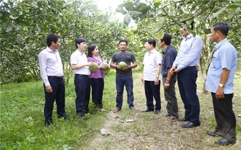 Khánh Hòa: Vốn tín dụng chính sách tiếp thêm động lực để người dân thoát nghèo bền vững