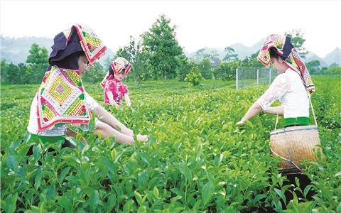 Thoát nghèo nhờ Chương trình MTQG 1719