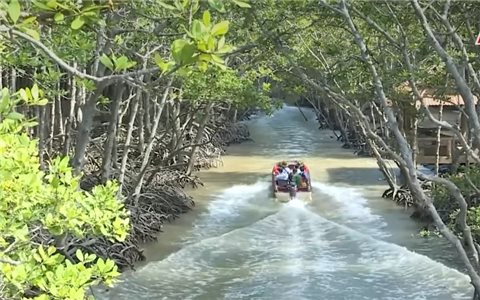 Khám phá rừng Sác: Di sản lịch sử và thiên nhiên hoang dã
