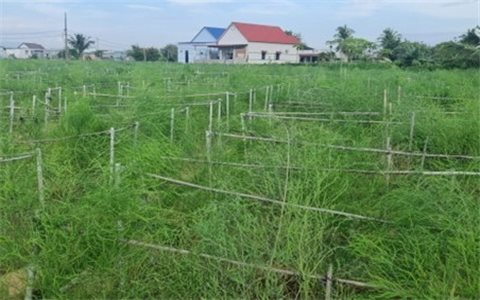 Ninh Thuận: Dòng vốn tín dụng đổi thay vùng đất khó