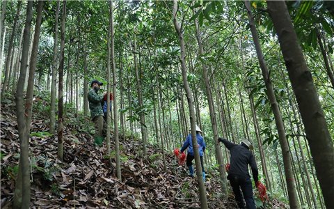 Quyết tâm hoàn thành giải phóng mặt bằng tuyến đường sắt Lào Cai - Hà Nội - Hải Phòng