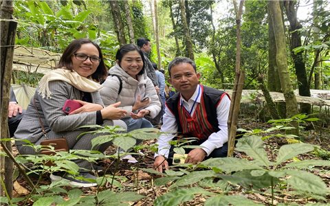 Đưa Tri thức dân gian về Sâm Ngọc Linh huyện Tu Mơ Rông và huyện Đăk Glei, tỉnh Kon Tum vào Danh mục Di sản văn hóa phi vật thể quốc gia