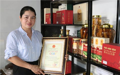 Nâng giá trị sâm "tiến vua” qua sản phẩm OCOP