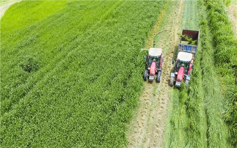 "Mở khóa tự nhiên" biến rào cản thành vòng tuần hoàn xanh tại trang trại sinh thái