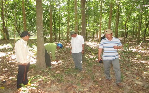Thực hiện giao khoán bảo vệ rừng ở Gia Lai: Dân gắn bó và bảo vệ rừng tốt hơn