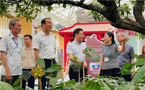 Quảng Ngãi - Cội nguồn cách mạng, vững bước tương lai