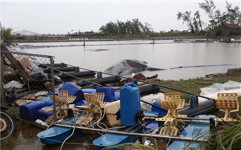 Ngành Nông nghiệp Nghệ An thiệt hại nặng nề sau bão số 5
