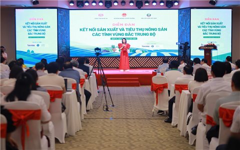 Sản xuất theo chuỗi, nâng cao giá trị nông sản vùng Bắc Trung Bộ