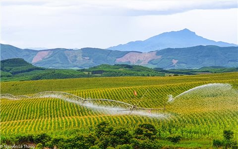 Ngành Nông nghiệp Nghệ An trước cơ hội ứng dụng AI