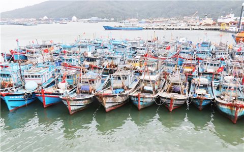 Chủ tịch xã, phường phải chịu trách nhiệm nếu để phát sinh tàu cá “3 không”