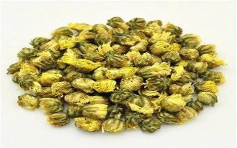 Thu hồi toàn bộ lô dược liệu Cúc hoa vàng do Đông Dược Dân Lợi nhập khẩu