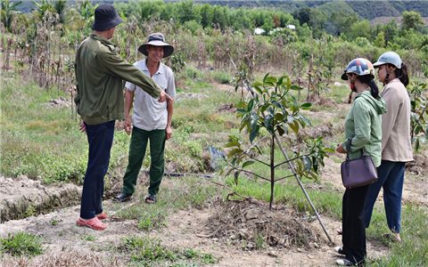 Lâm Đồng: Nâng cao quản lý, tổ chức hiệu quả Chương trình MTQG 1719